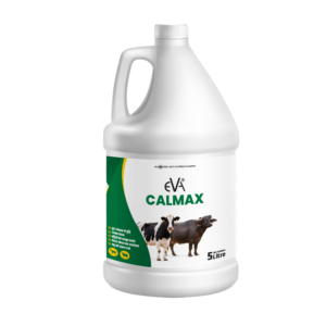 CALMAX - Calcium Supplement