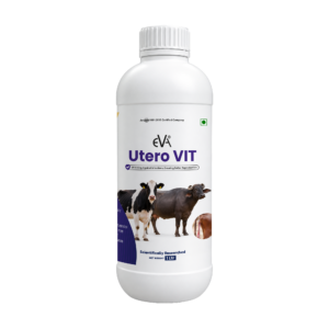 Utero VIT