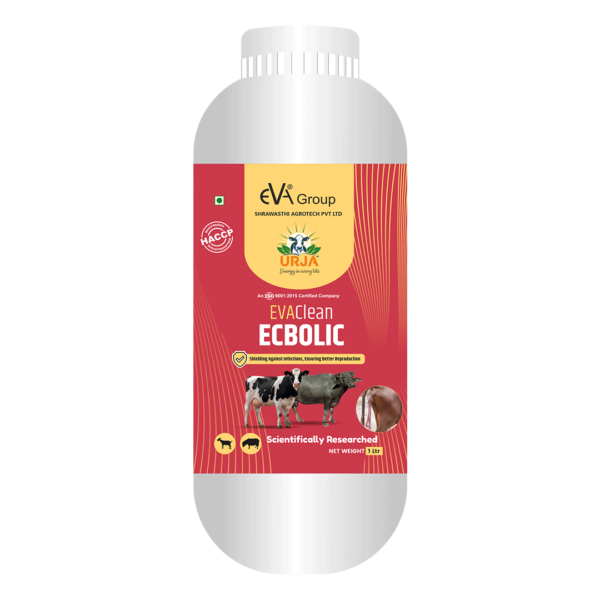 EVACLEAN – ECBOLIC