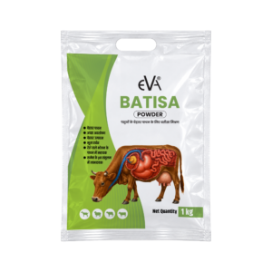 Eva Batisa Powder