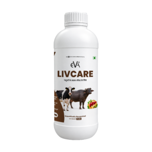Eva Livcare