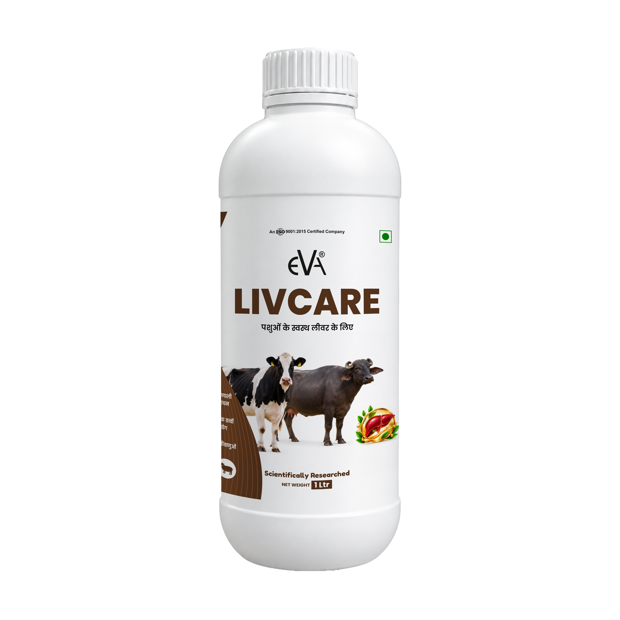 Eva Livcare